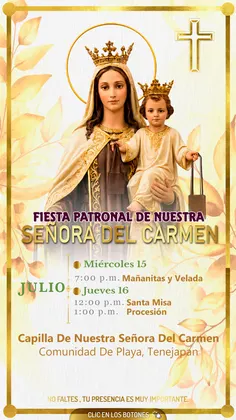Portada VIRGS01
